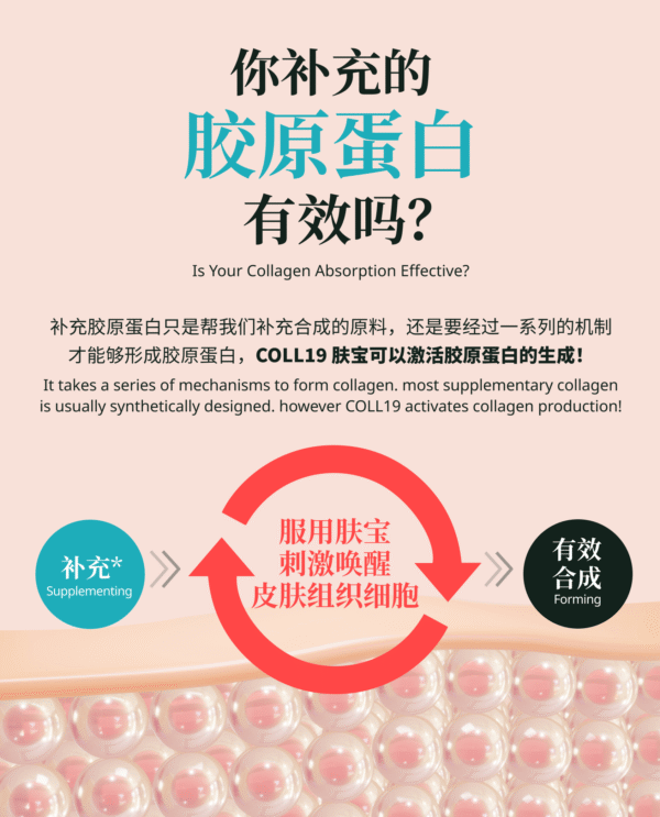 COLL19 Penggalak Kolagen 肤宝 - 皮肤胶原补助 Collagen Booster - Image 3