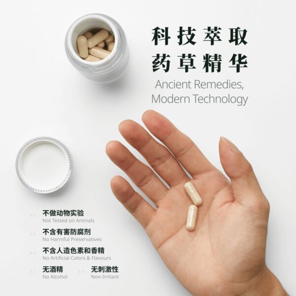 MLADY Penjagaan Haid 真贵妃 - 女性经期调理 Menstrual Care - Image 2