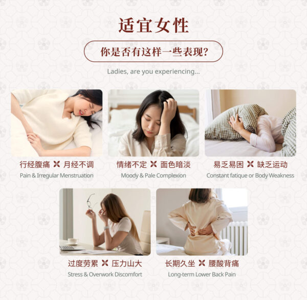 MLADY Penjagaan Haid 真贵妃 - 女性经期调理 Menstrual Care - Image 5