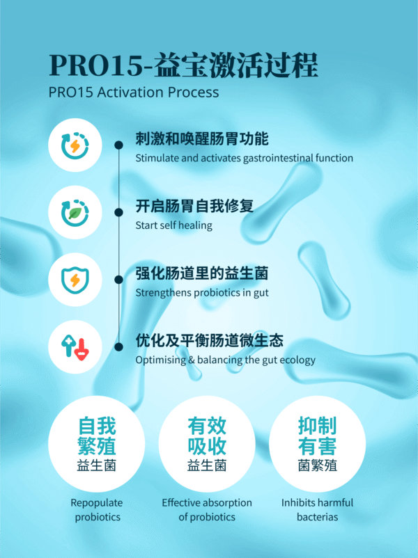 PRO15 Penggalak Probiotik 益宝 - 肠胃菌群补助 Probiotics Booster - Image 3