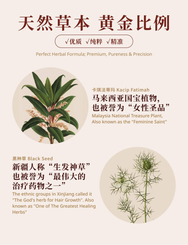 MWMB Anti-Penuaan Untuk Wanita 水芙蓉 - Image 7