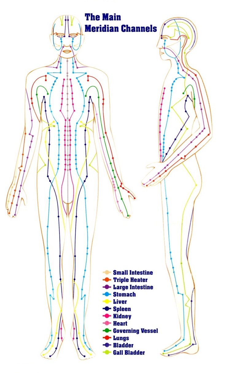 Understanding the 12 Meridians: A Beginner’s Guide to Energy Pathways